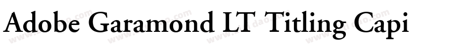 Adobe Garamond LT Titling Capitals字体转换